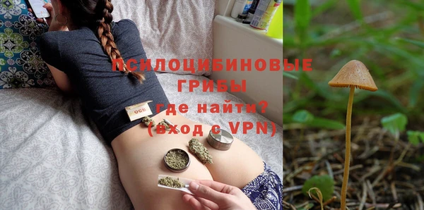 apvp Абаза